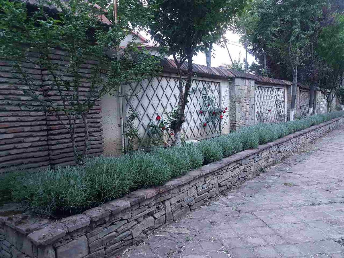 Willa Rare House With Garden Tbilisi Zewnętrze zdjęcie
