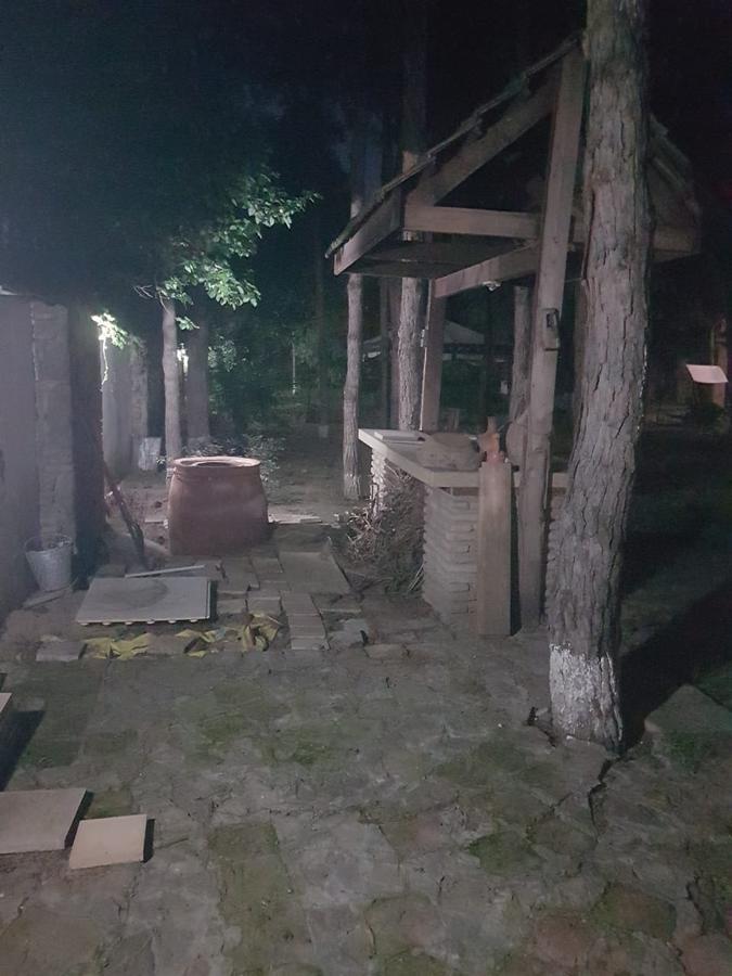 Willa Rare House With Garden Tbilisi Zewnętrze zdjęcie
