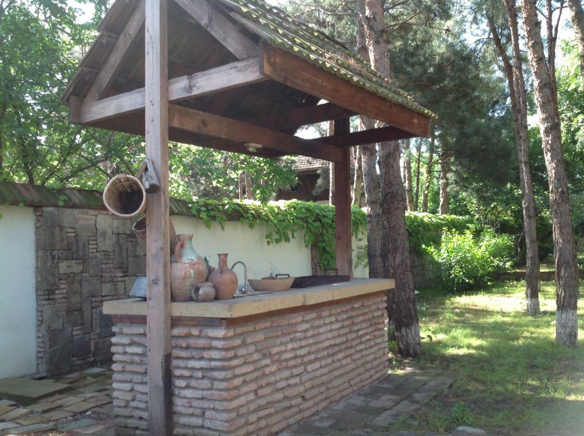 Willa Rare House With Garden Tbilisi Zewnętrze zdjęcie